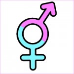 4- Trans*
